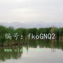 ĺ֮